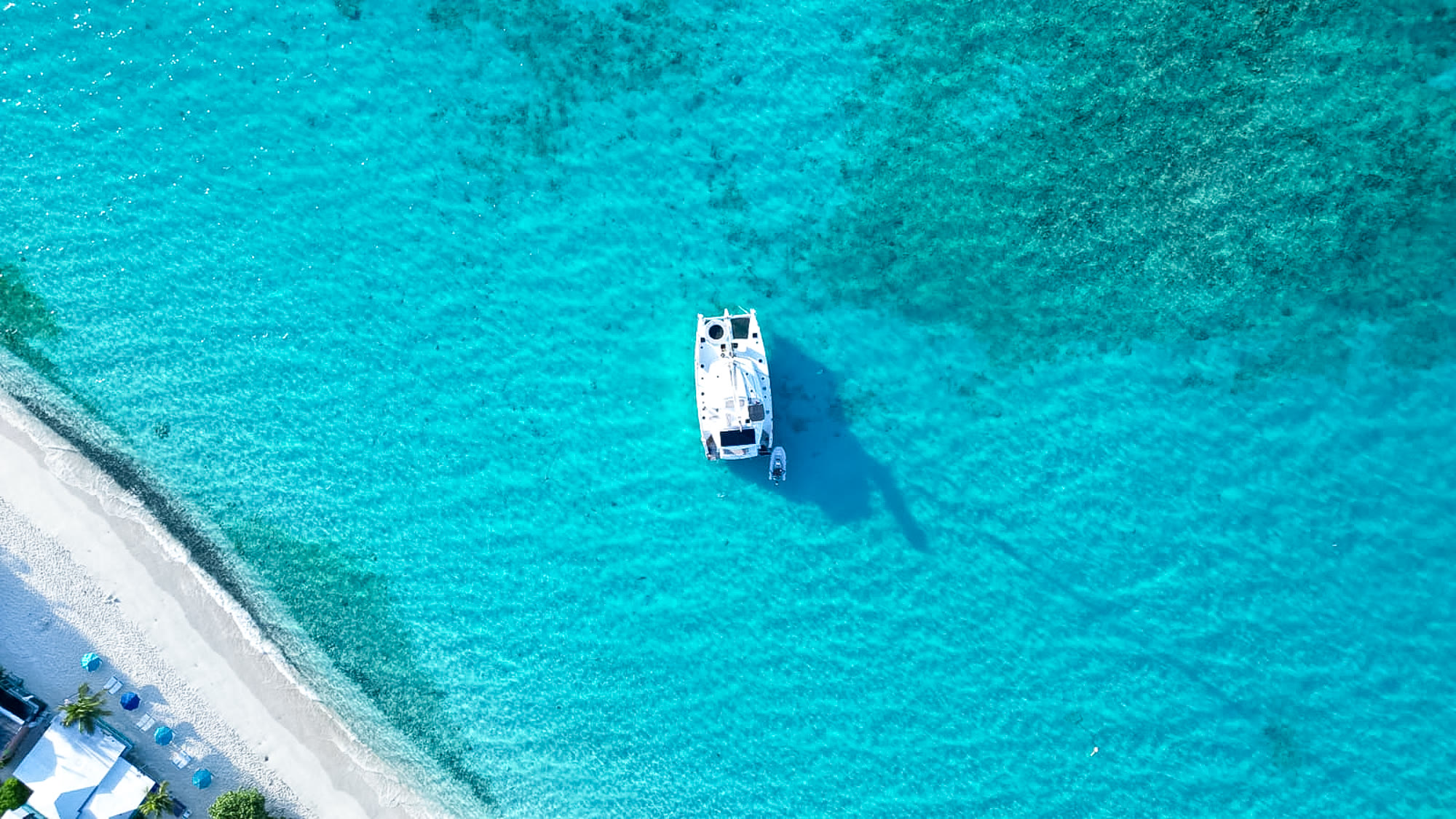 On the sandbar