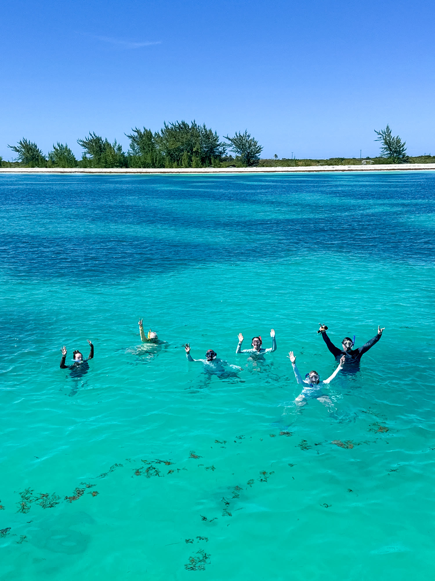 Sandbar swim