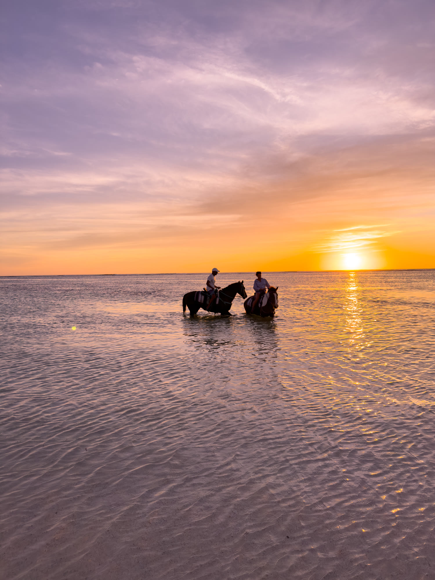 Horseback in the shallows, Anegada