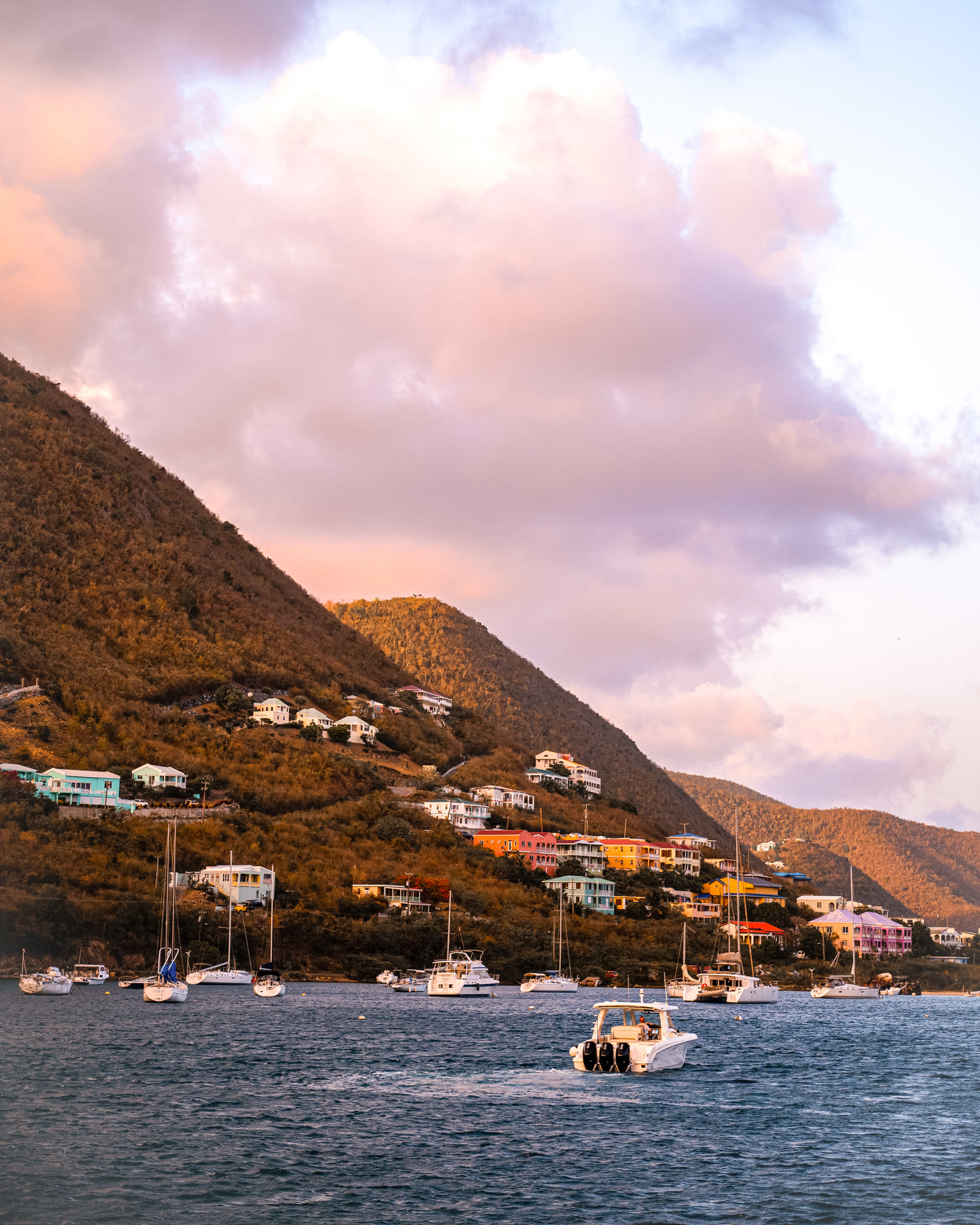 Tortola hillside, golden hour